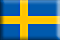 Swedish Flag