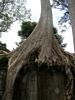 Angkor Wat