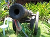 Wooden Cannon